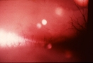 Red Planet