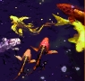 Koi #1