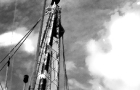 Cormorant on Mast