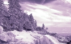Maine Coast In black & white