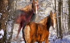 Unicorns in the Snow