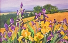 Iris in Valley