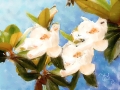 Magnolia