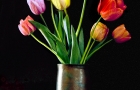 Tulips in Vase