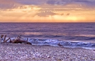 Edisto Sunrise