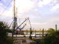 Shrimp Boat & Birds