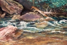 City Park Stream