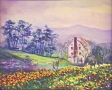 Misty House