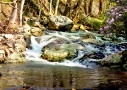 Mountain Stream Spring