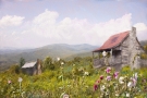 Abandon Mt. Cabins