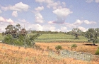 Summer Field & Clouds