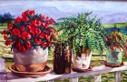 Flower Pots on Rail