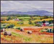 Hay Bales: Late Summer