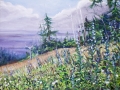 Mt. Meadow