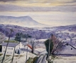 Massanutten Snow #1