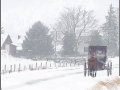 Snowy Road: Buggy
