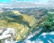 Canyon Rim Snow