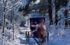 Snow Road & Buggy #2