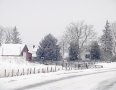 Snowy Road